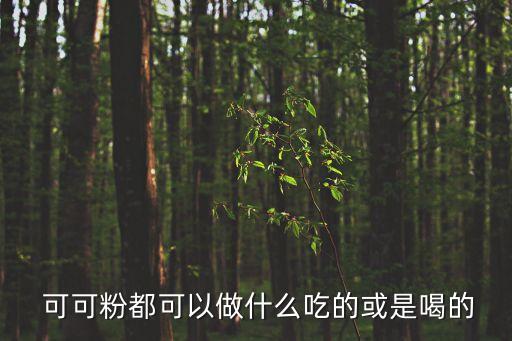  可可粉都可以做什么吃的或是喝的