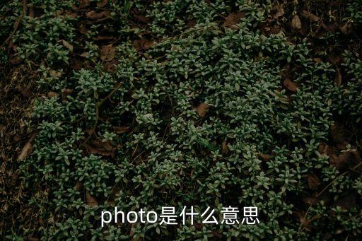 photo是什么意思