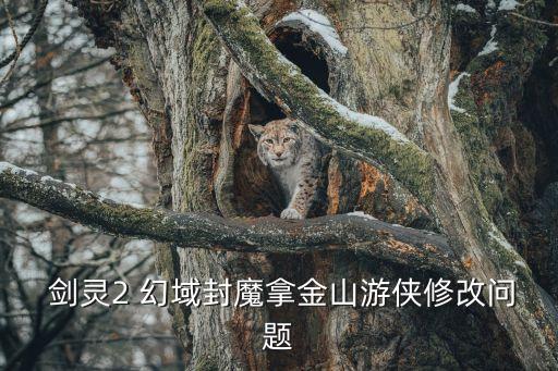 劍靈2 幻域封魔拿金山游俠修改問(wèn)題
