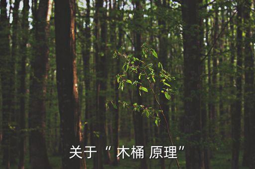 關于“ 木桶 原理”