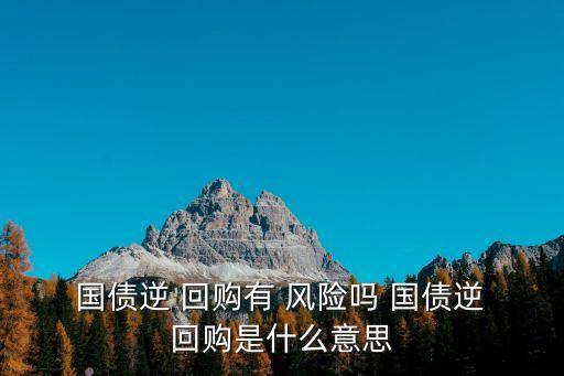  國債逆 回購有 風險嗎 國債逆 回購是什么意思