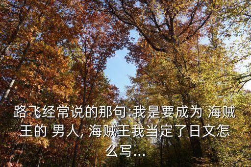 海賊王的男人,我要當(dāng)海賊王氏男人