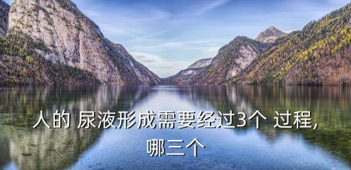 人的 尿液形成需要經(jīng)過3個(gè) 過程,哪三個(gè)