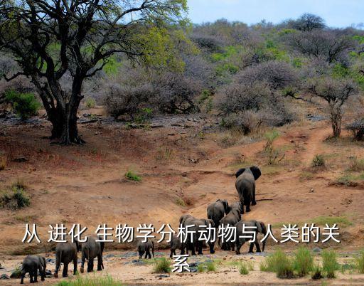 進化生物學,進化生物學開創基因組自組織-1方法論體系