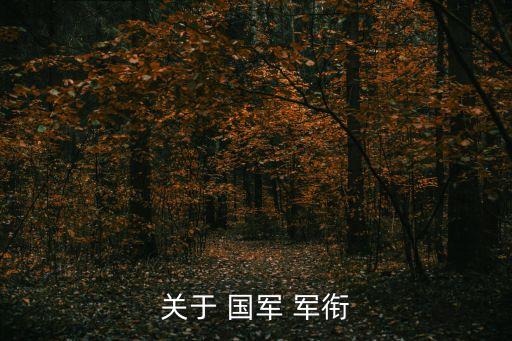關(guān)于 國軍 軍銜