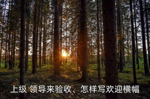 歡迎領(lǐng)導(dǎo)蒞臨指導(dǎo)標語