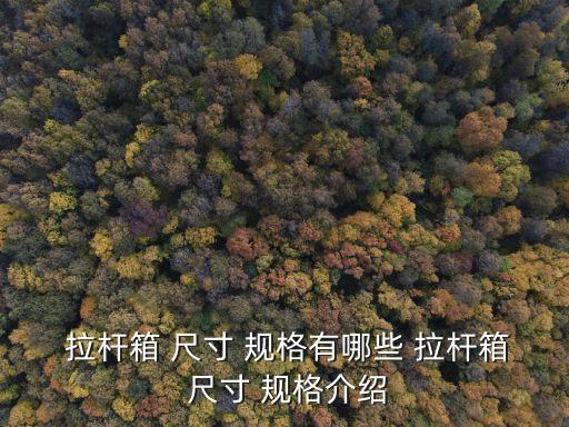 拉桿箱尺寸規格表,行李箱按尺寸可分為13寸拉桿箱和16寸