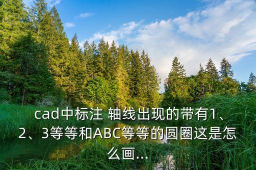 cad軸線怎么畫,海灣放樣軸線測設完成后繪制水平線和豎線