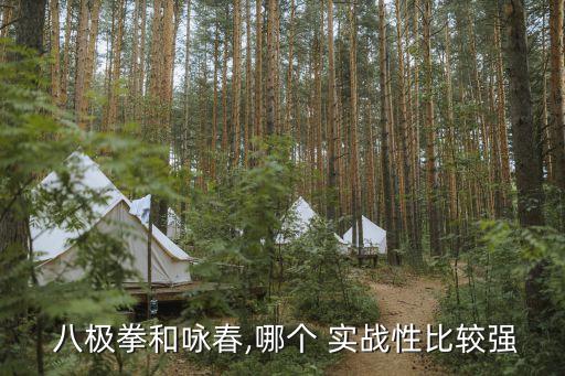  八極拳和詠春,哪個 實戰性比較強
