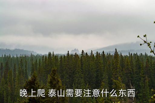 晚上爬 泰山需要注意什么東西
