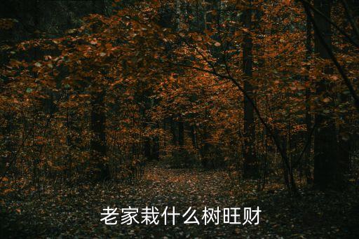 老家的樹,搖錢樹適應(yīng)性很強(qiáng)比較適合養(yǎng)在屋前