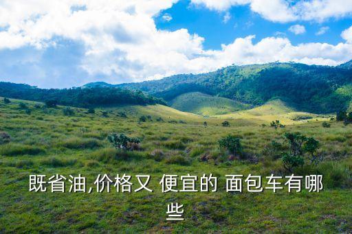 既省油,價格又 便宜的 面包車有哪些