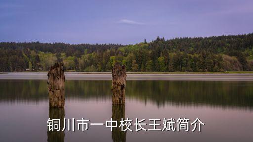 上海市銅川中學 校長，銅川市一中校長王斌簡介
