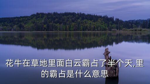 花牛在草地里面白云霸占了半個(gè)天,里的霸占是什么意思