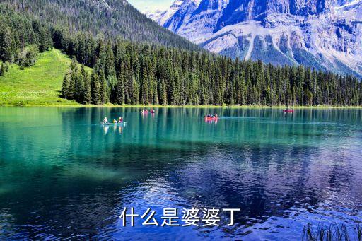 婆婆丁，什么是婆婆丁