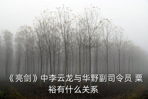 《亮劍》中李云龍與華野副司令員 粟裕有什么關(guān)系