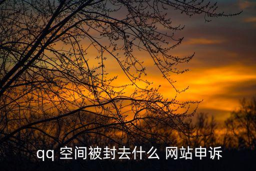 qq空間破解網站,手機:華為p30系統:安卓uiui9.1