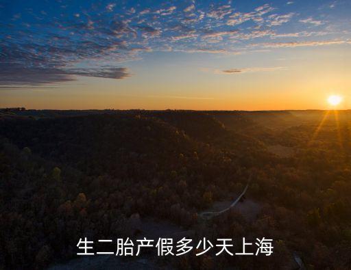 生二胎產(chǎn)假多少天上海