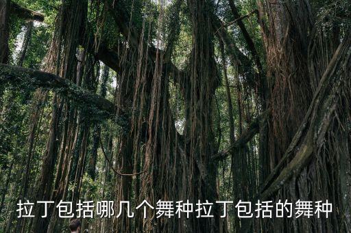 桑巴舞音樂,第二集:巴西舞曲風格逐漸成型
