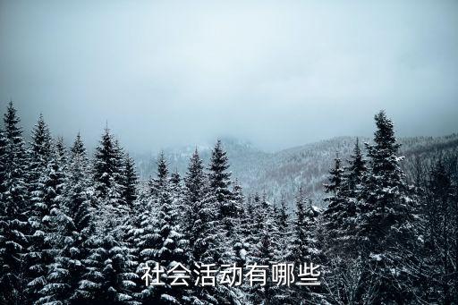 社會活動,社會活動社會實踐活動有哪些?