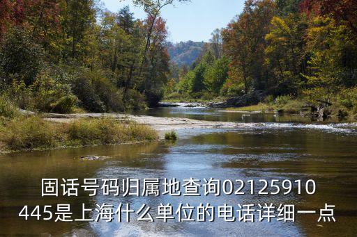 固話號碼歸屬地查詢02125910445是上海什么單位的電話詳細一點