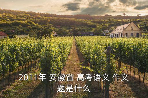 2011年 安徽省 高考語文 作文題是什么