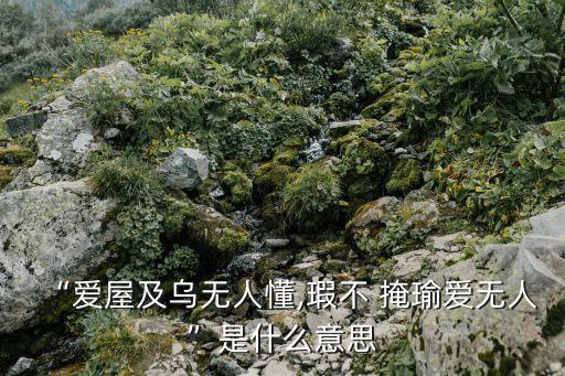 瑕不掩瑜什么意思