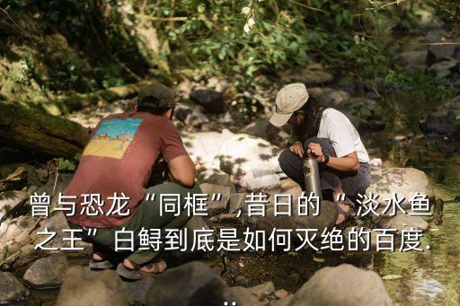 淡水魚之王,污染和過度捕撈導(dǎo)致長江魚類數(shù)量整體減少