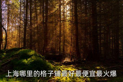 上海哪里的格子鋪?zhàn)詈米畋阋俗罨鸨? class=