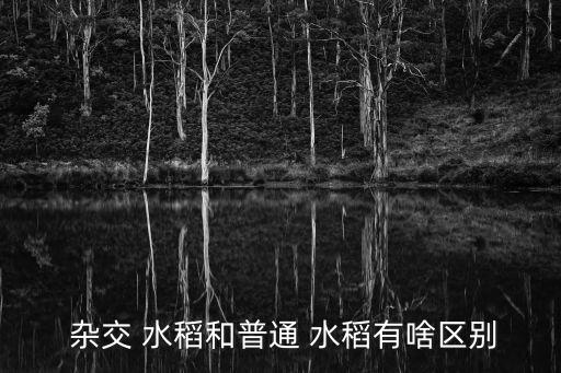  雜交 水稻和普通 水稻有啥區(qū)別