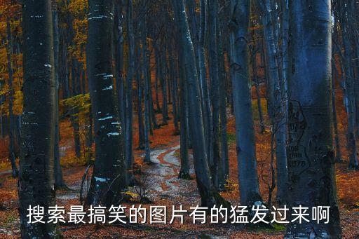 搜索最搞笑的圖片有的猛發過來啊