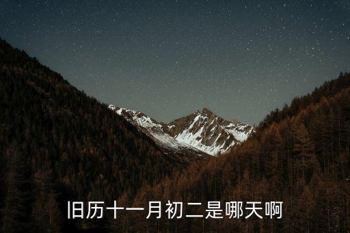 舊歷十一月初二是哪天啊