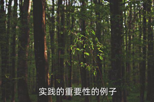 關于實踐的事例,商科學習:學會實踐可總結規律性知識