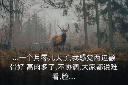 高肉,中國高檔牛肉市場迅速擴大好看好吃