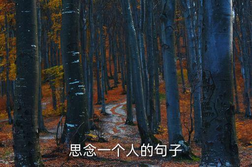 想念一個人的話，思念一個人的句子