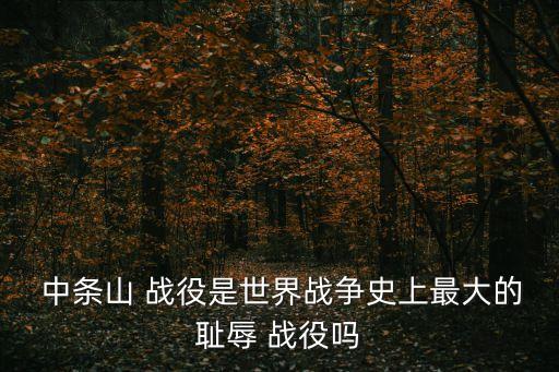 中條山戰(zhàn)役,中條山戰(zhàn)役:蔣介石邀中共出兵配合戰(zhàn)斗