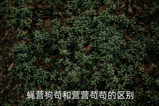 蠅營狗茍的意思,蠅營勾勾造句:行為誠實坦率無隱私