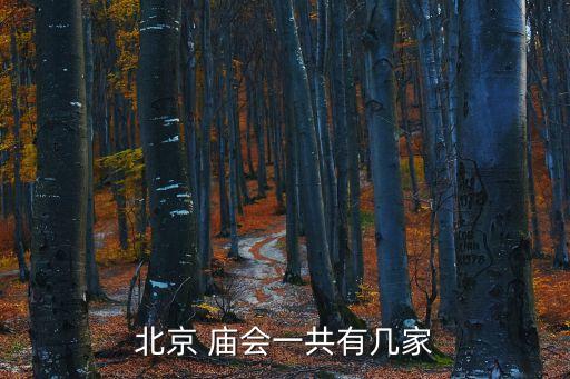 廟會(huì)歌舞,北京廟會(huì)又稱廟會(huì)主要為普通人購物服務(wù)