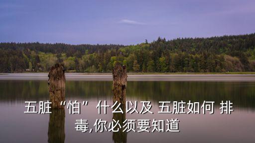 五臟排毒,中醫(yī):脾胃是健康的根本建議多運(yùn)動(dòng)多曬太陽(yáng)