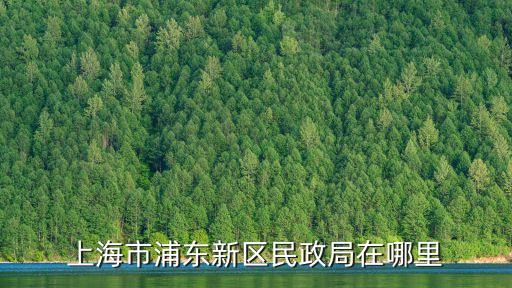 民進上海市委 地址，上海市民政局地址