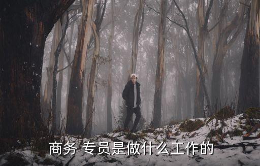  商務 專員是做什么工作的