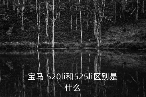 520li,兩款車型最大功率和最大扭矩不同