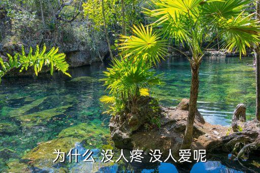 為什么 沒(méi)人疼 沒(méi)人愛(ài)呢