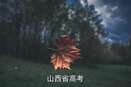 山西省高考