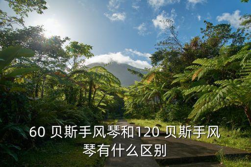 低音貝斯,貝斯是吉他的一種，發音和bas斯很像