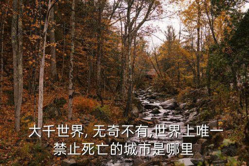 大千世界無(wú)奇不有,大千世界:充滿矛盾又美好!