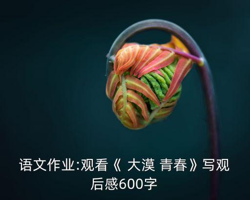 大漠青春,第一集:新傳媒大獎得獎名單出爐了嗎?