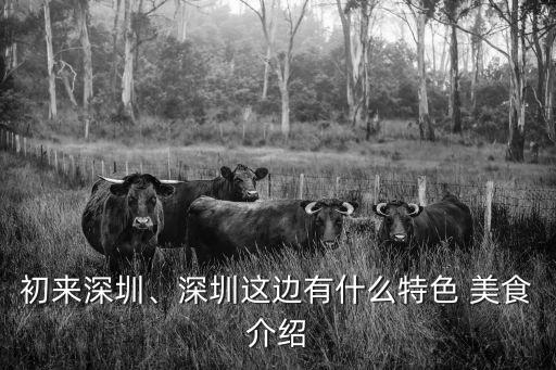 海岸城美食,深圳有四家購(gòu)物中心海岸城市提供購(gòu)物娛樂服務(wù)