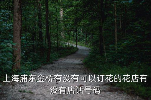 上海市浦東金橋鮮花店，浦東新區川沙王港金橋哪里有賣花的要說出具體位置擺攤的也