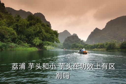  荔浦 芋頭和小 芋頭在功效上有區別嗎